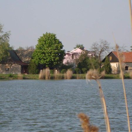 Vila Madams - Palic-Serbia Exterior foto